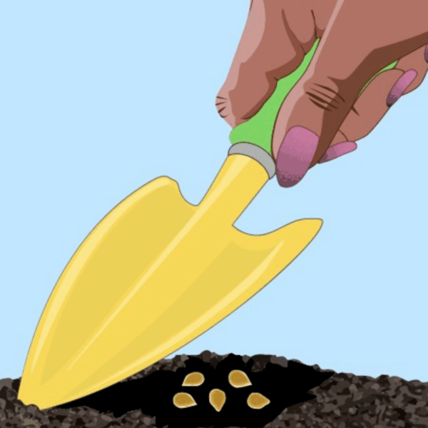 Illustrated image of a Black woman's hands sowing seeds into rich soil.
